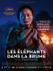 LES ELEPHANTS DANS LA BRUME