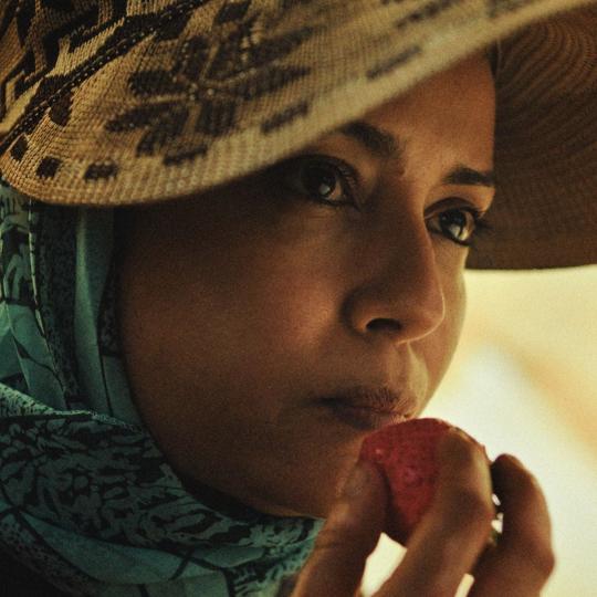 LES FRAISES