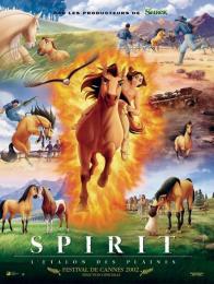 SPIRIT, L ETALON DES PLAINES
